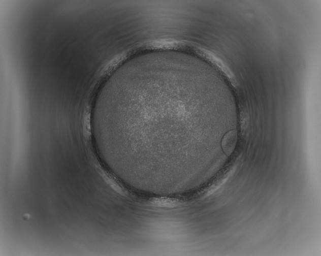 X0000111580633200907301406