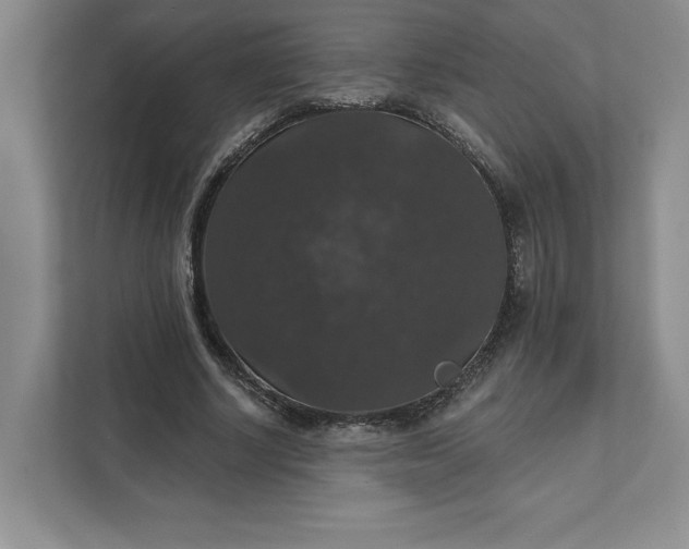 X0000111580634200907301406