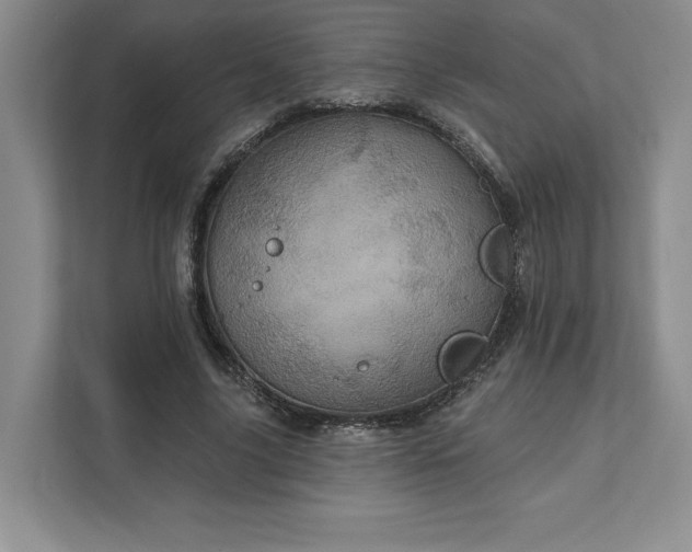 X0000111580635200907301406