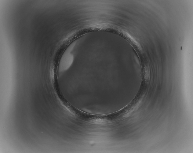 X0000111580637200907301406