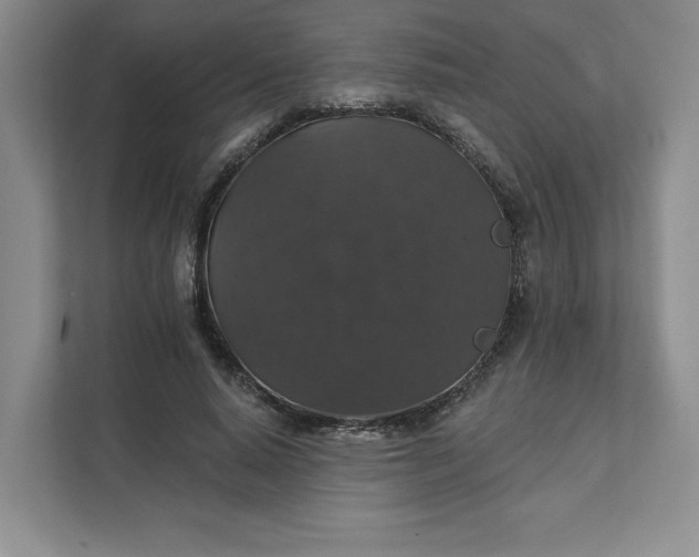 X0000111580640200907301406