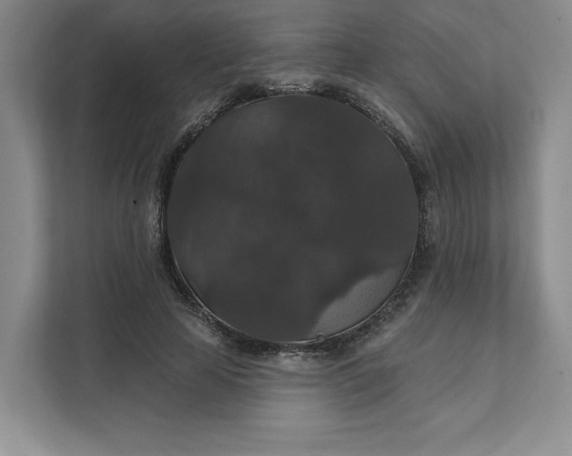 X0000111580641200907301406