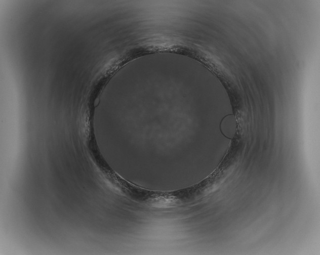 X0000111580642200907301406