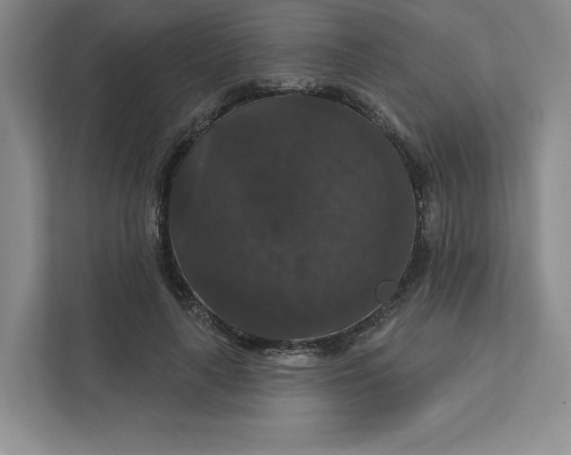 X0000111580643200907301406