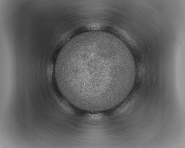 X0000111580645200907301406