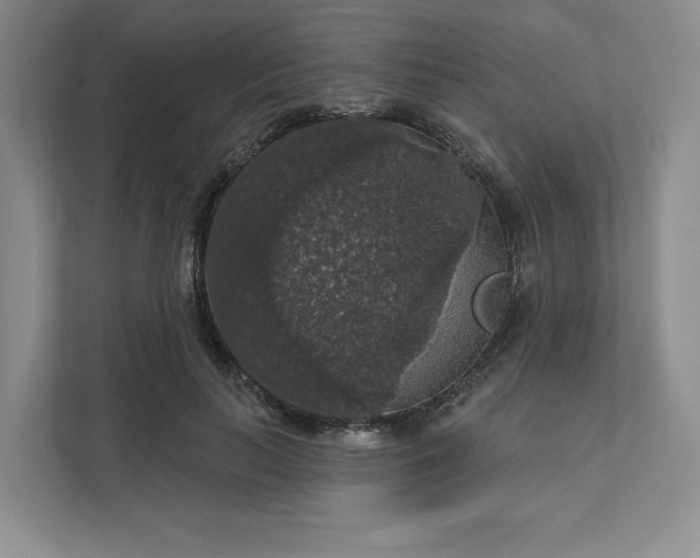 X0000111580647200907301406