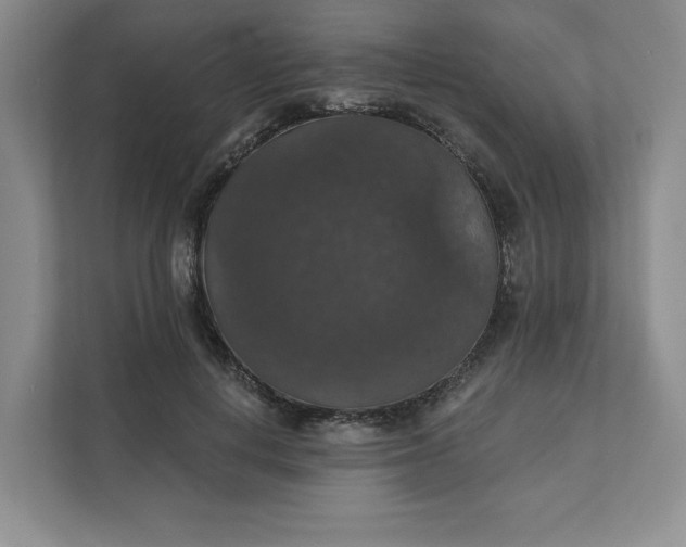 X0000111580648200907301406