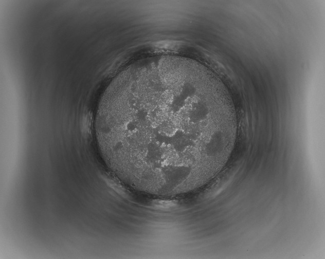 X0000111580649200907301406