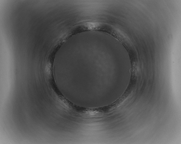 X0000111580650200907301406