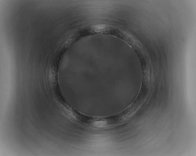 X0000111580653200907301406