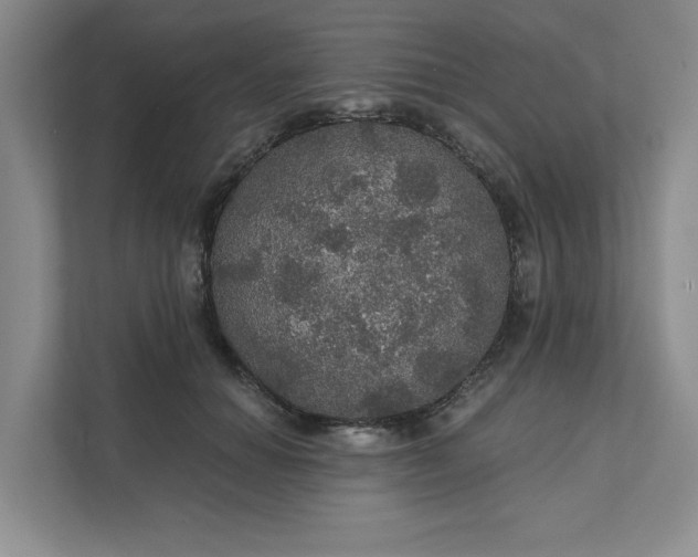 X0000111580654200907301406