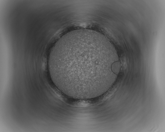 X0000111580656200907301406