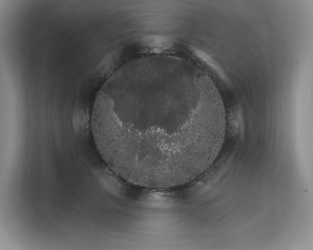 X0000111580657200907301406