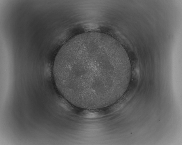 X0000111580658200907301406