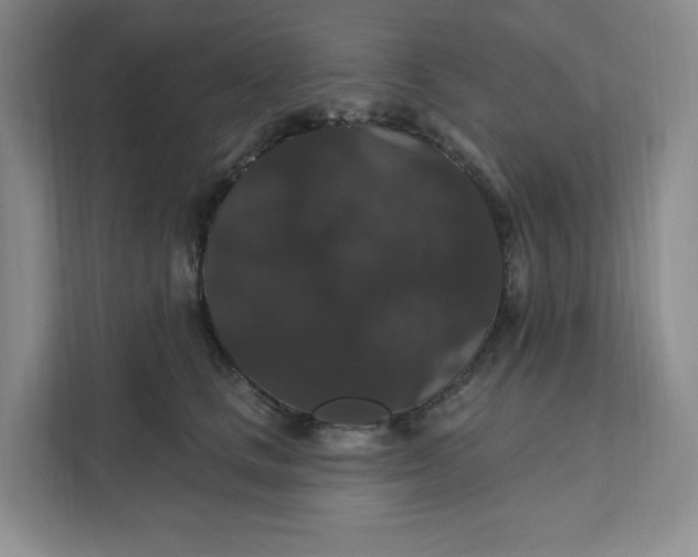 X0000111580661200907301406