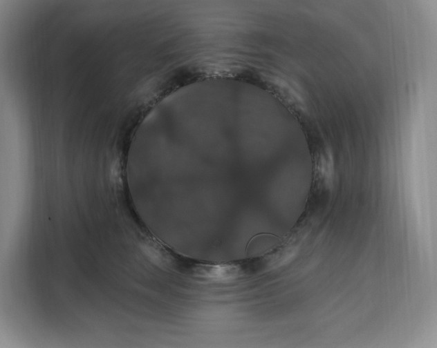 X0000111580663200907301406