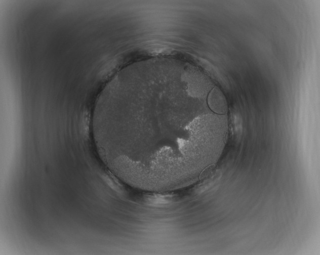 X0000111580664200907301406