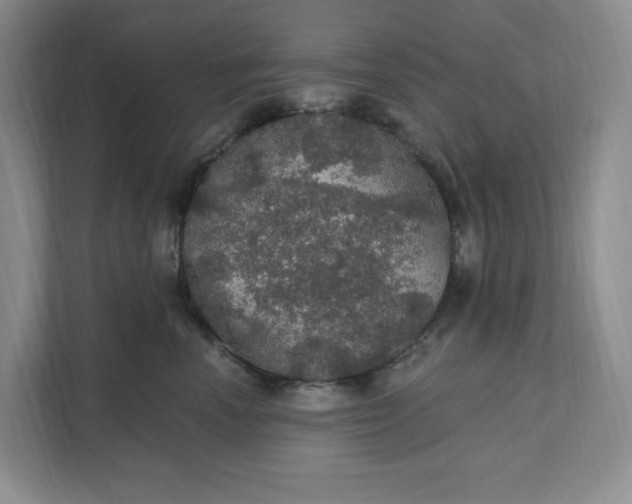 X0000111580666200907301406