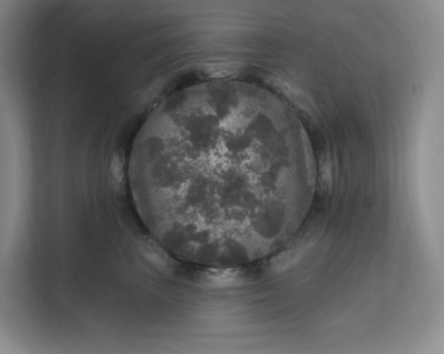 X0000111580667200907301406