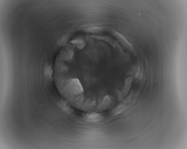 X0000111580669200907301406