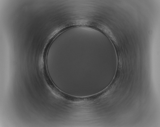 X0000111580674200907301405