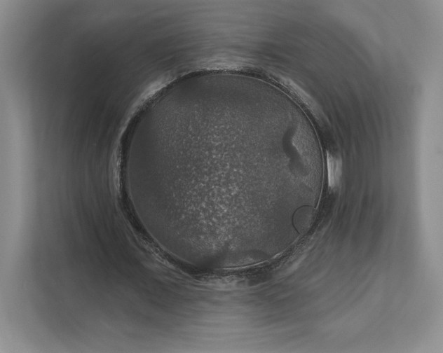 X0000111580675200907301405