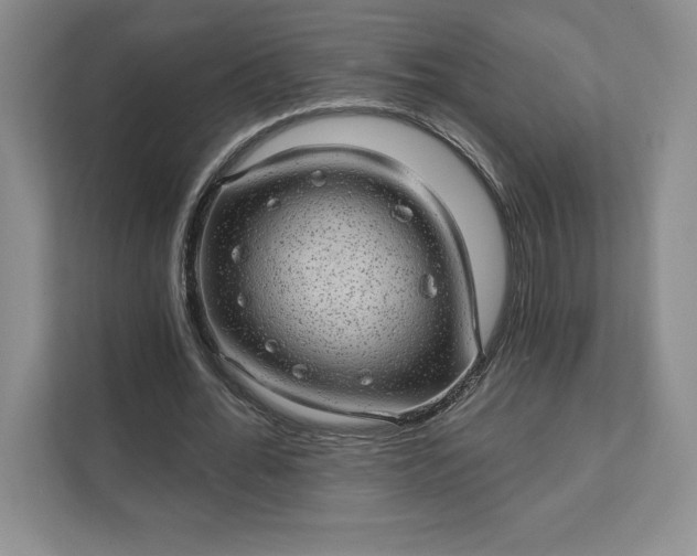 X0000111580676200907301405