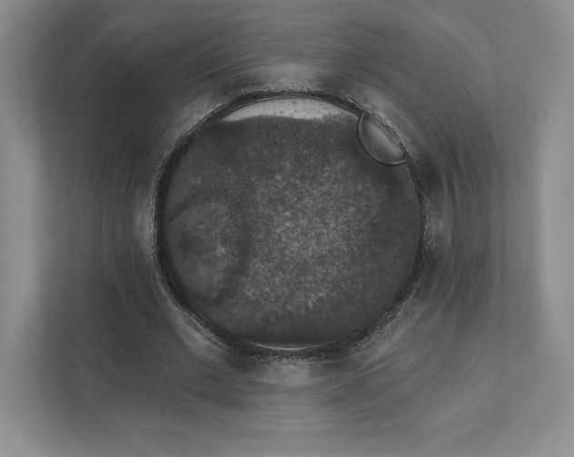 X0000111580677200907301405