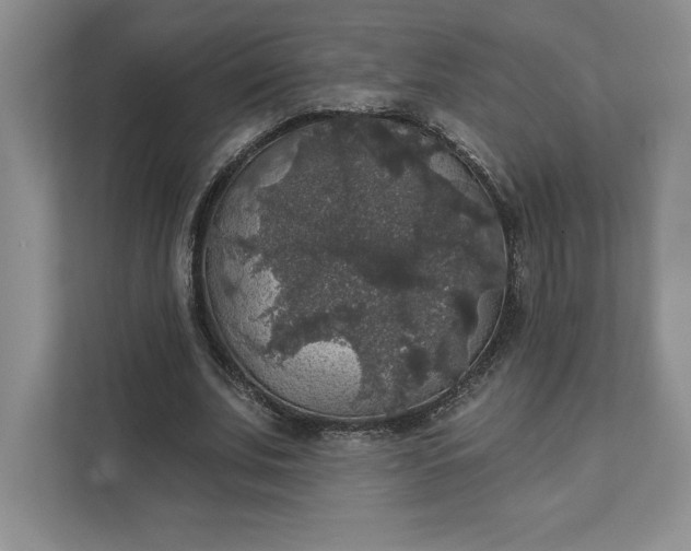 X0000111580679200907301405