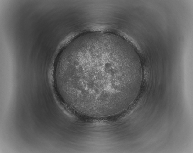 X0000111580682200907301405