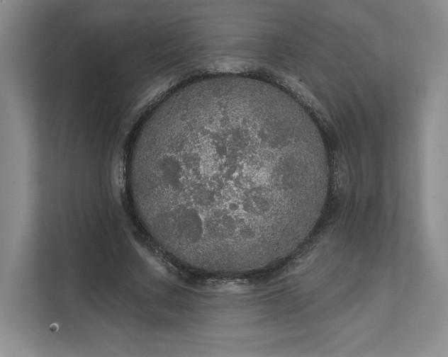 X0000111580683200907301405