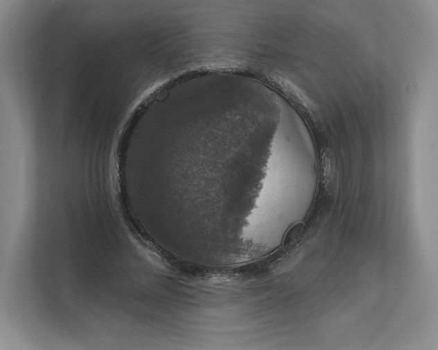 X0000111580684200907301405