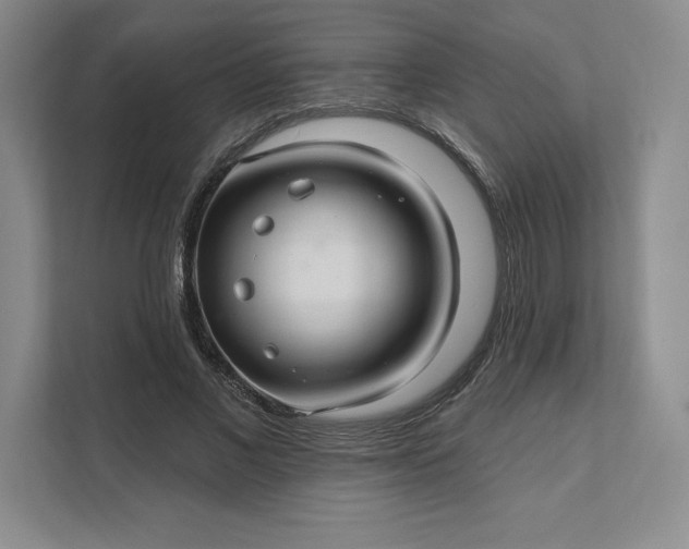 X0000111580685200907301405