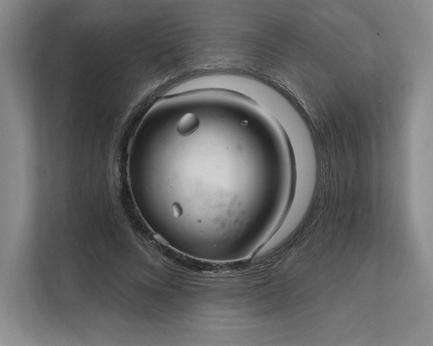 X0000111580688200907301405