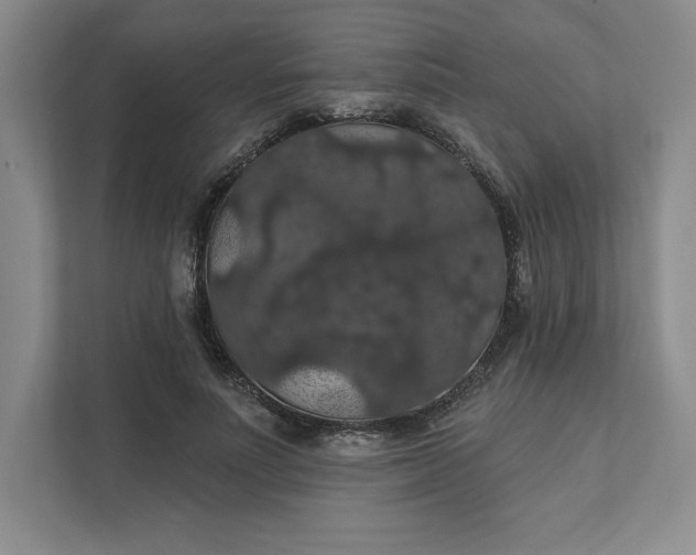 X0000111580691200907301405