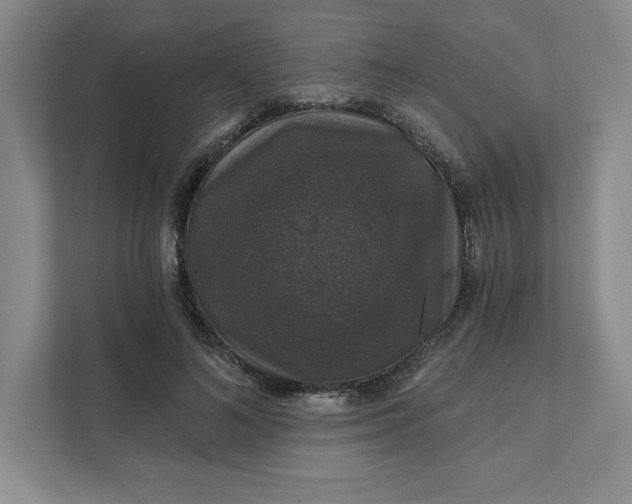 X0000111580692200907301405