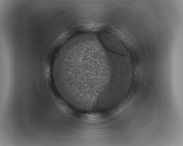 X0000111580693200907301405