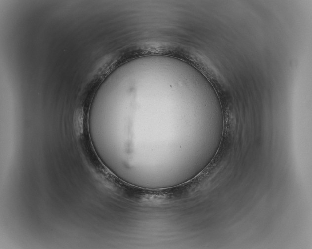 X0000111580694200907301405