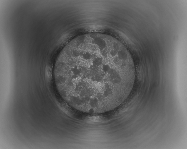 X0000111580695200907301405