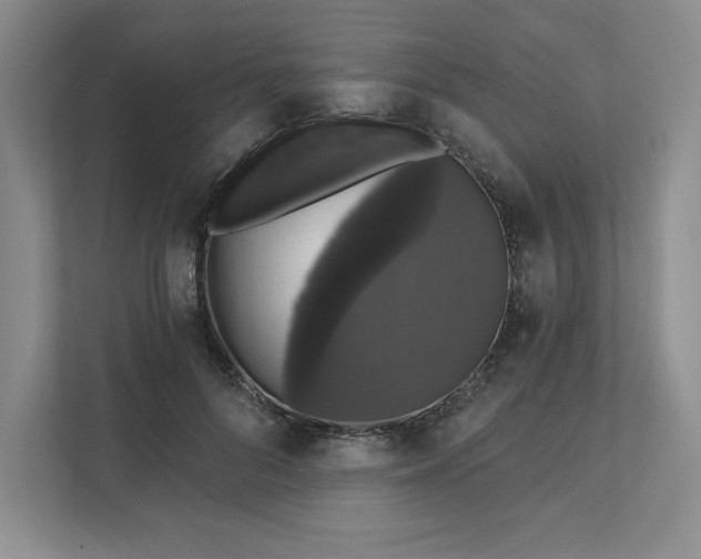 X0000111580696200907301405