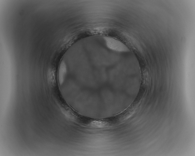 X0000111580699200907301405