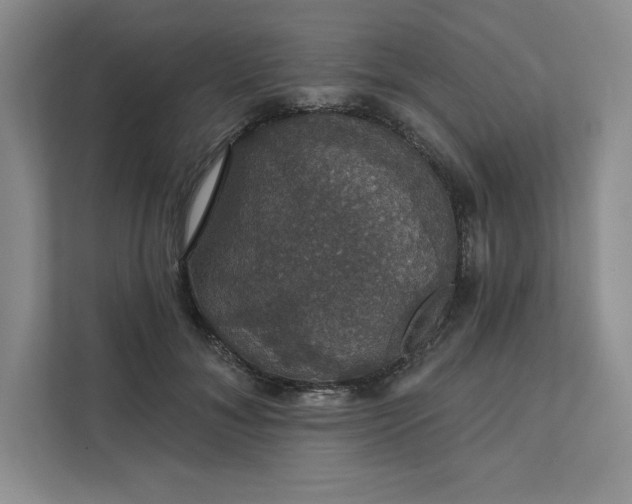 X0000111580700200907301405