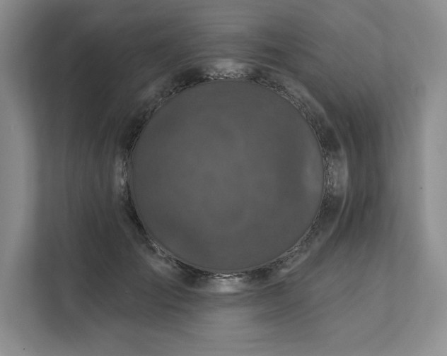 X0000111580701200907301405