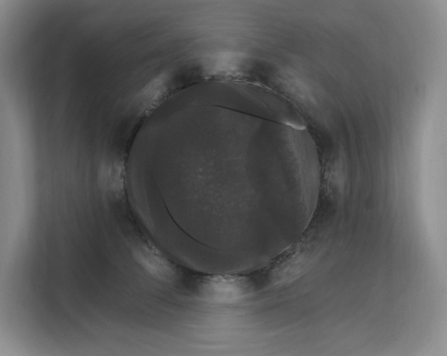 X0000111580708200907301405