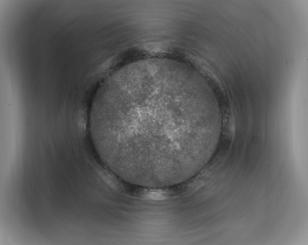 X0000111580710200907301405