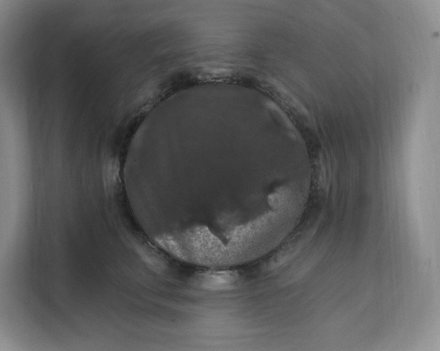 X0000111580711200907301405