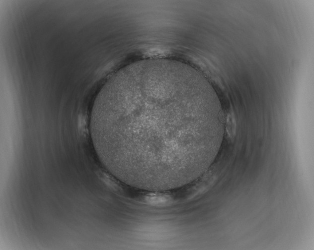 X0000111580714200907301405