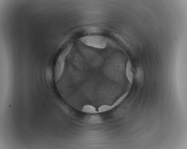 X0000111580715200907301405