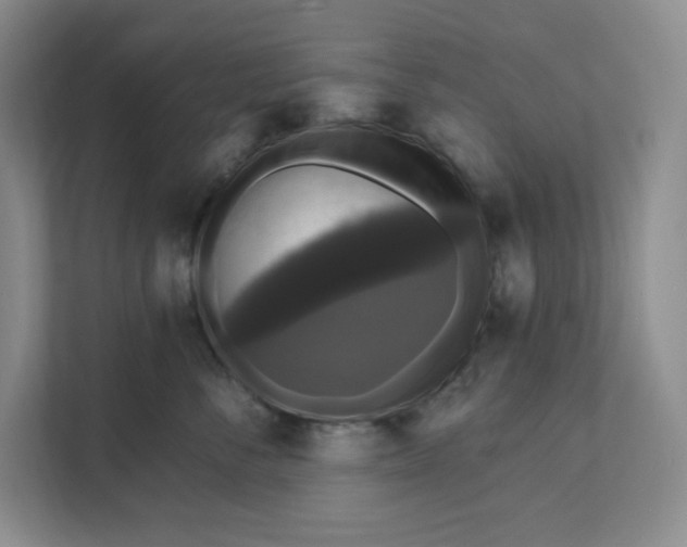 X0000111580716200907301405