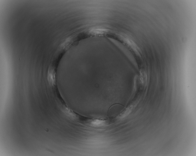 X0000111580718200907301405